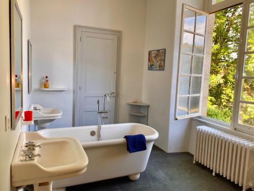 Moulins-le-CarbonnelChâteau de Moulins的带浴缸、水槽和窗户的浴室