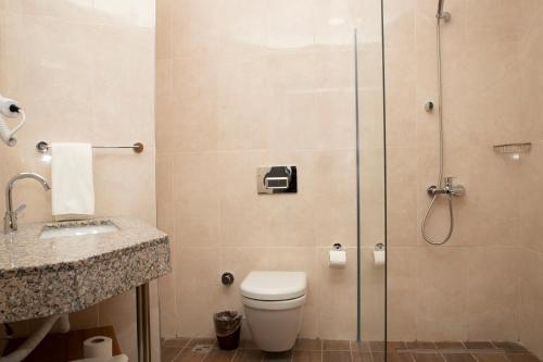 泰基尔达BUSINESS EXPRESS HOTEL的带淋浴、卫生间和盥洗盆的浴室