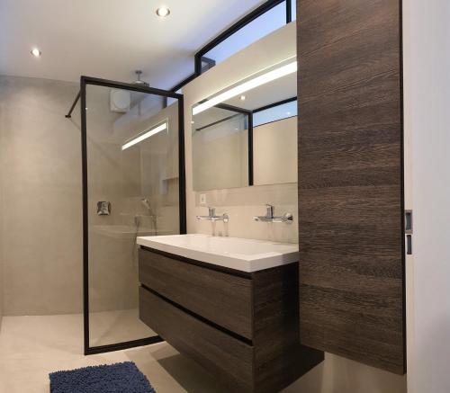 卡茨休维尔B&B Doremi的浴室配有白色水槽和淋浴。