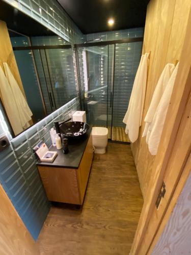 比索达雷加Casa da Horta的带淋浴、盥洗盆和卫生间的浴室