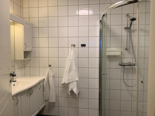 约尔珀兰Modern apartment in the Harbour of Jørpeland的带淋浴和盥洗盆的浴室