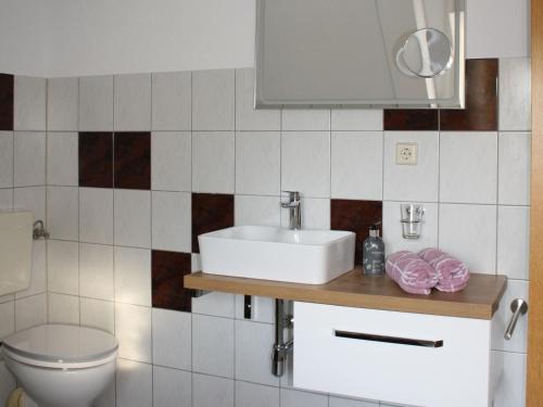 SerbaZu den grauen Ziegenböcken的一间带水槽和卫生间的浴室