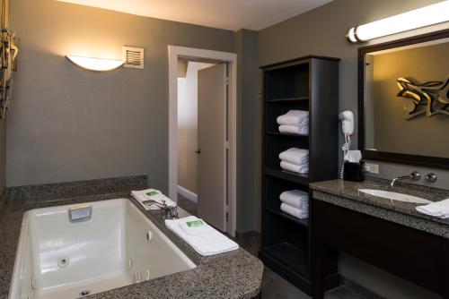 康科德Holiday Inn Concord Downtown, an IHG Hotel的带浴缸、水槽和镜子的浴室
