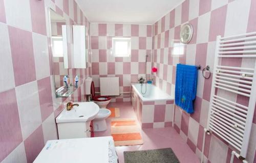 Poiana TeiuluiCasa Prundari Nicu și Mirela的粉红色和白色的浴室设有卫生间和水槽