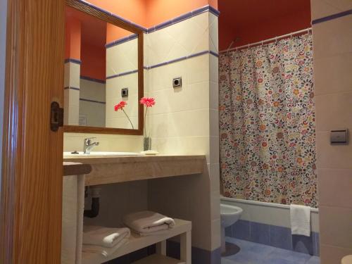 洛思坎加约斯瑟利托公寓的一间带水槽和淋浴的浴室