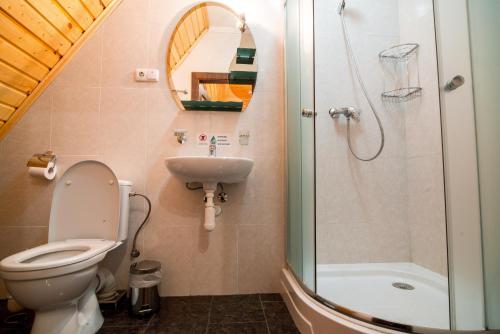 米戈韦Karpatska Vezha的浴室配有卫生间、盥洗盆和淋浴。