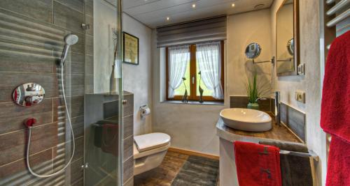 上施陶芬Haus Gorbach的一间带水槽、卫生间和淋浴的浴室