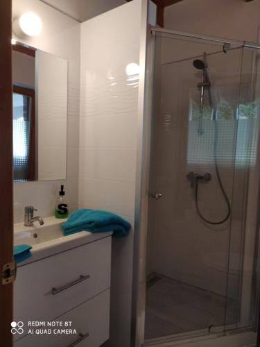 佐洛卡罗斯Négy Évszak Apartmanház的带淋浴的浴室和玻璃门