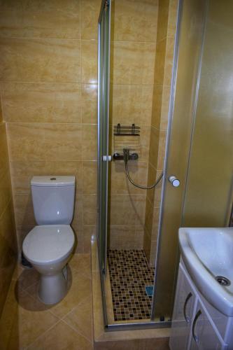 切尔诺夫策Man Apartment的带淋浴、卫生间和盥洗盆的浴室