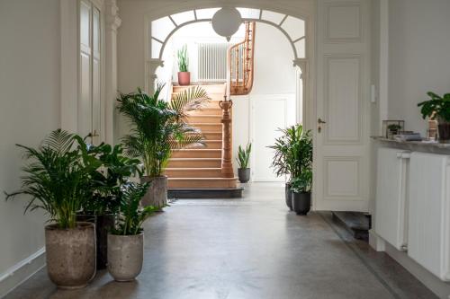 布鲁日B'Guest Sleep & Retreat的走廊上设有盆栽和楼梯