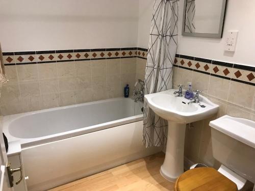 埃克塞特Luxury City Centre Apartment, Exeter.的一间带水槽、浴缸和卫生间的浴室