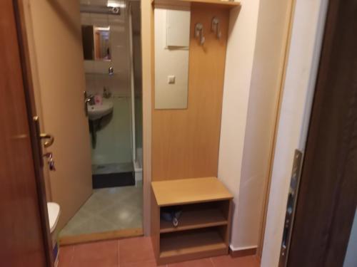 兹雷切Apartma Gaber 80的带淋浴、卫生间和盥洗盆的浴室