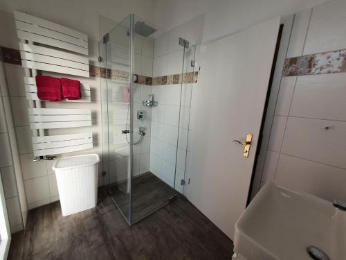莱茵河畔的纳沙泰尔Hotel Neuenburger Hof的带淋浴、卫生间和盥洗盆的浴室