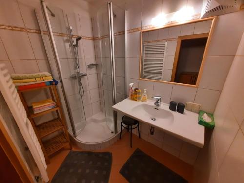 施特罗布尔Pilznerhof的一间带水槽和淋浴的浴室