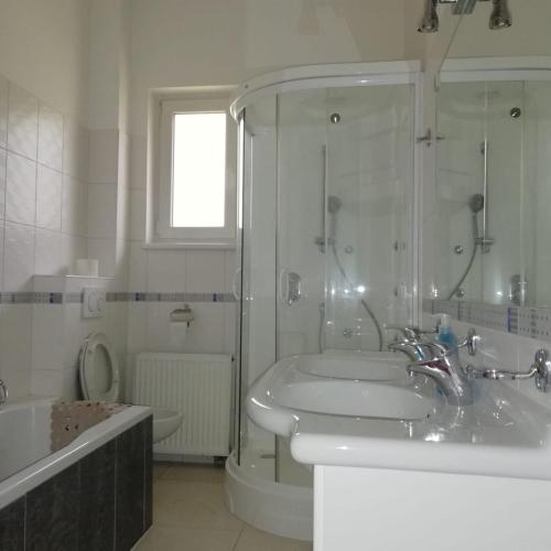 布拉迪斯拉发Rezident consult s.r.o.的浴室配有水槽、淋浴和浴缸。