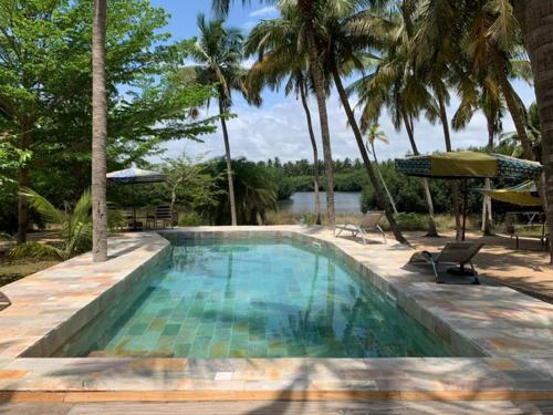 OuidahNatura luxury lodge的一个带两把椅子的游泳池,棕榈树
