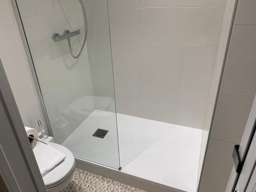迪耶普格兰德杜克斯酒店的带淋浴和卫生间的浴室