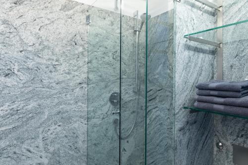 SchwarzachBusiness Apartment的浴室里设有玻璃门淋浴