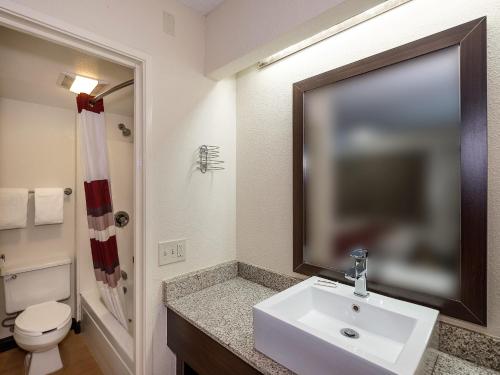 莫米托莱多红屋顶酒店 - 莫米的一间带水槽和卫生间的浴室