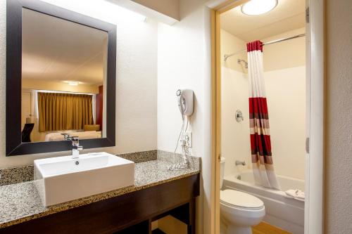 马纳萨斯红屋顶PLUS客栈 +华盛顿特区 - 马纳萨斯的一间带水槽、卫生间和镜子的浴室