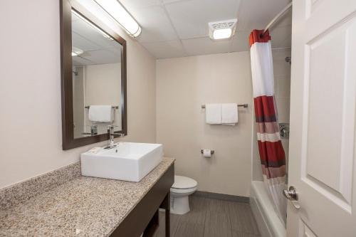 波基普西波基普西红屋顶客栈的一间带水槽、卫生间和镜子的浴室