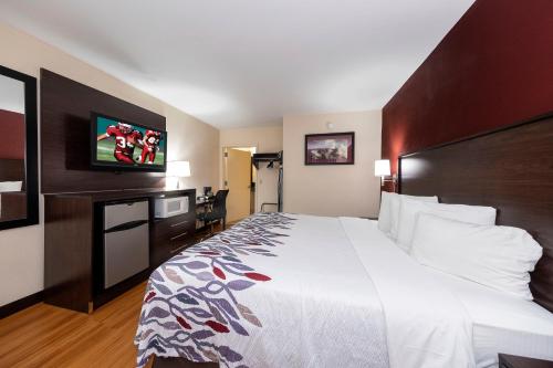 博登镇Red Roof Inn Bordentown - McGuire AFB的一间酒店客房,配有一张大床和一台平面电视