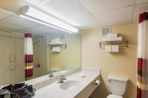 拉伯克Red Roof Inn Lubbock的一间带水槽、卫生间和镜子的浴室