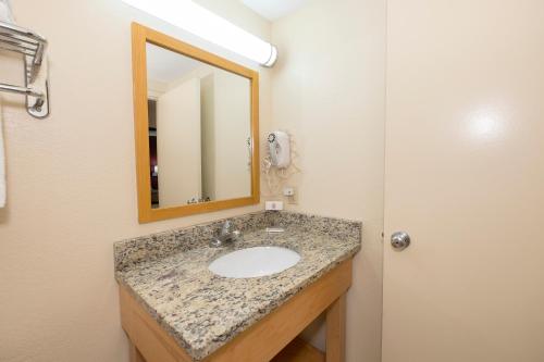 诺克斯维尔Red Roof Inn Knoxville Central – Papermill Road的一间带水槽和镜子的浴室