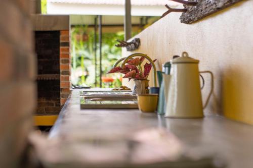 瓜皮莱斯Poponé Farm & Lodge的茶壶桌子和茶壶上的植物