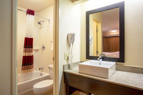 林夕昆高地Red Roof Inn PLUS+ Baltimore-Washington DC/BWI Airport的一间带水槽、卫生间和镜子的浴室