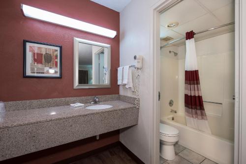 伊利里亚克利夫兰伊利里亚红顶汽车旅馆及套房的一间带水槽、卫生间和镜子的浴室
