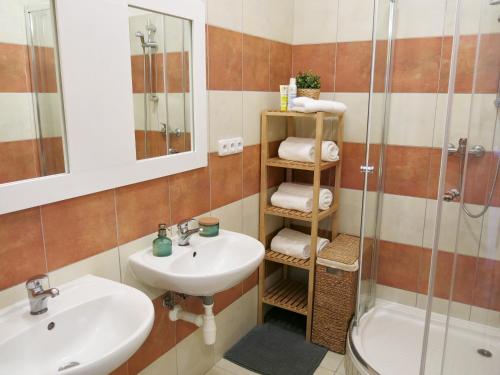 比尔森Apartmány Nad ZOO的一间带水槽和淋浴的浴室