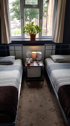 伦敦小时玻璃酒店的一间设有两张床和一张植物桌子的房间