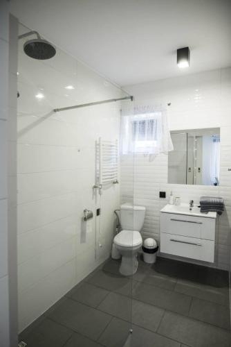 ŻarkiJurajskie Apartamenty的白色的浴室设有卫生间和水槽。