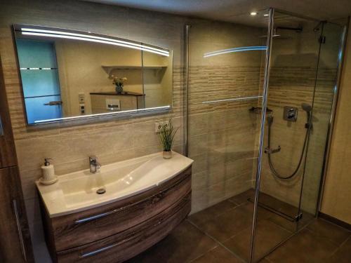 腓特烈罗达Dorfidylle - Thüringer Wald Rennsteig的浴室配有盥洗盆和带镜子的淋浴