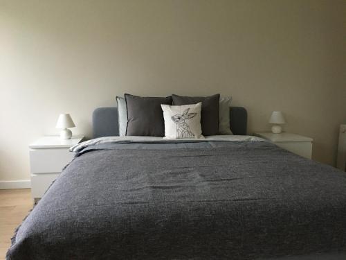 PriekuļiFox Apartments - Pie Lapsas的一间卧室配有一张带灰色毯子和两盏灯的床。