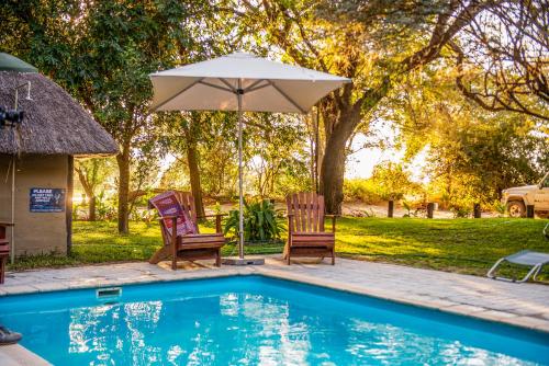 卡蒂马穆利洛Zambezi Mubala Campsite的游泳池旁的两把椅子和一把遮阳伞