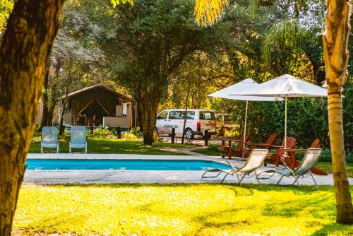卡蒂马穆利洛Zambezi Mubala Campsite的一组椅子和一把遮阳伞,位于游泳池旁