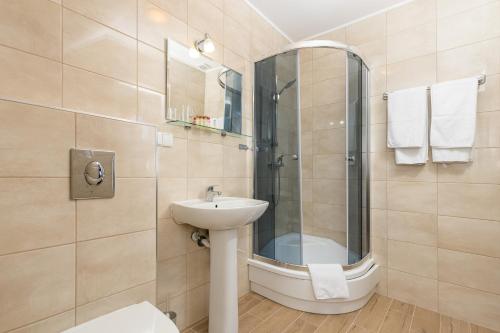 克拉科夫小溪酒店的一间带水槽和淋浴的浴室
