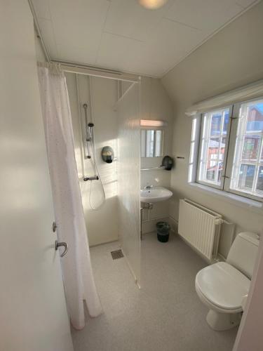 QeqertarsuaqHotel Disko Island的带淋浴、卫生间和盥洗盆的浴室