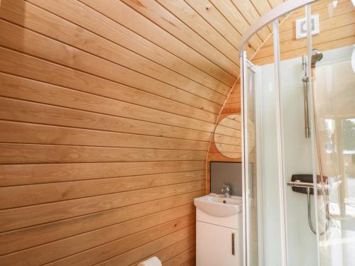 伯克利Halmore Pod的一间带木墙、卫生间和水槽的浴室