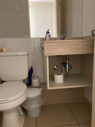 阿尔加罗沃Departamento Laguna Bahia的浴室配有白色卫生间和盥洗盆。