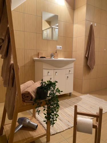 ŽiūraiPeledos troba的一间带水槽和镜子的浴室