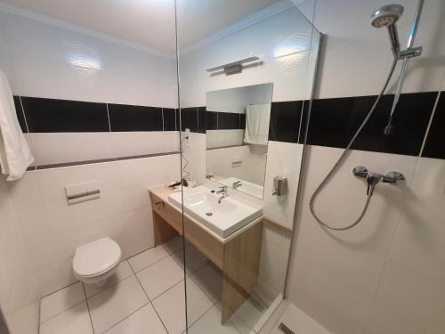 帕波miniHotel Pápa的浴室配有卫生间、盥洗盆和淋浴。