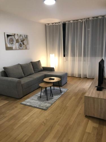 诺维萨德Apartment IRIS的客厅配有沙发和桌子