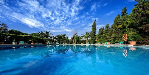 塔里法蓬塔苏尔酒店的一座拥有蓝色海水和树木的大型游泳池