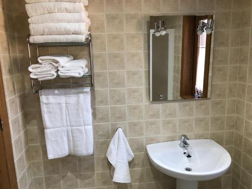 La PoblaciónEL CARLOTO的浴室配有盥洗盆、镜子和毛巾