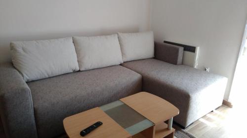 兹拉蒂博尔Apartman Gogi的带沙发和咖啡桌的客厅