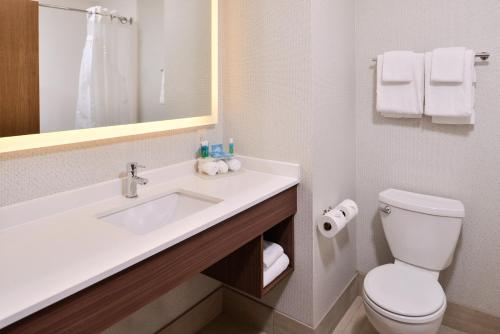 莱西Holiday Inn Express & Suites Lacey - Olympia, an IHG Hotel的一间带水槽、卫生间和镜子的浴室