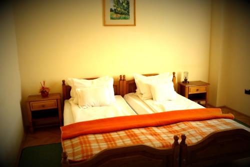 索瓦塔Hotel Tivoli的一间卧室配有一张带橙色毯子的床